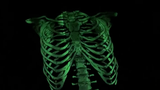 glow in dark skeleton shirt halloween costume